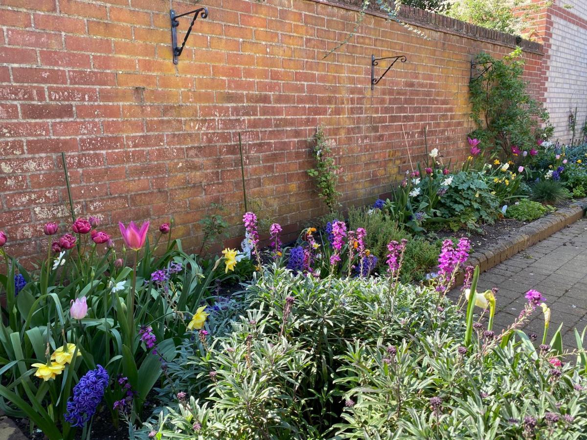 Stylish Town Centre House With Garden And Parking Opposite Βίλα Bury St. Edmunds Εξωτερικό φωτογραφία